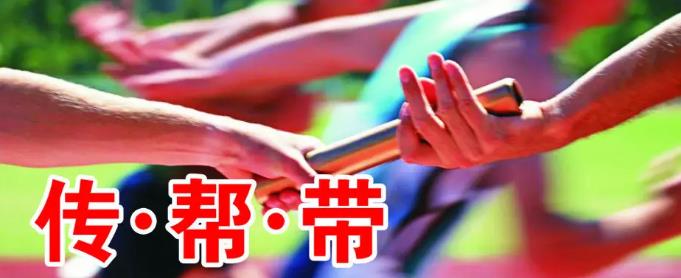 implementeren van het managementsysteem van mentoring.