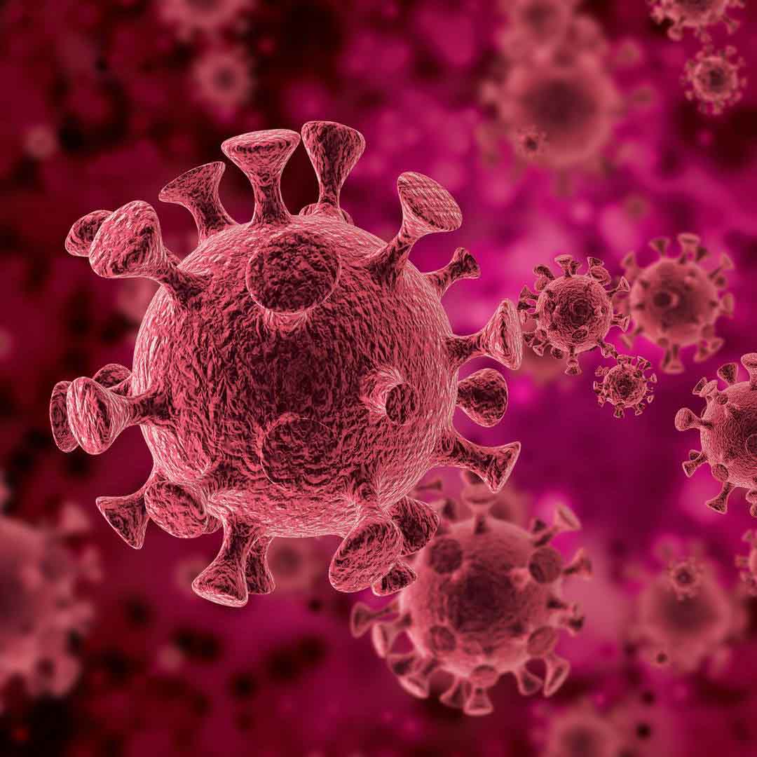 Covid beïnvloedt de wereld, hoe kunnen Shenzhen-ondernemingen wereldwijde zakelijke kansen zoeken?